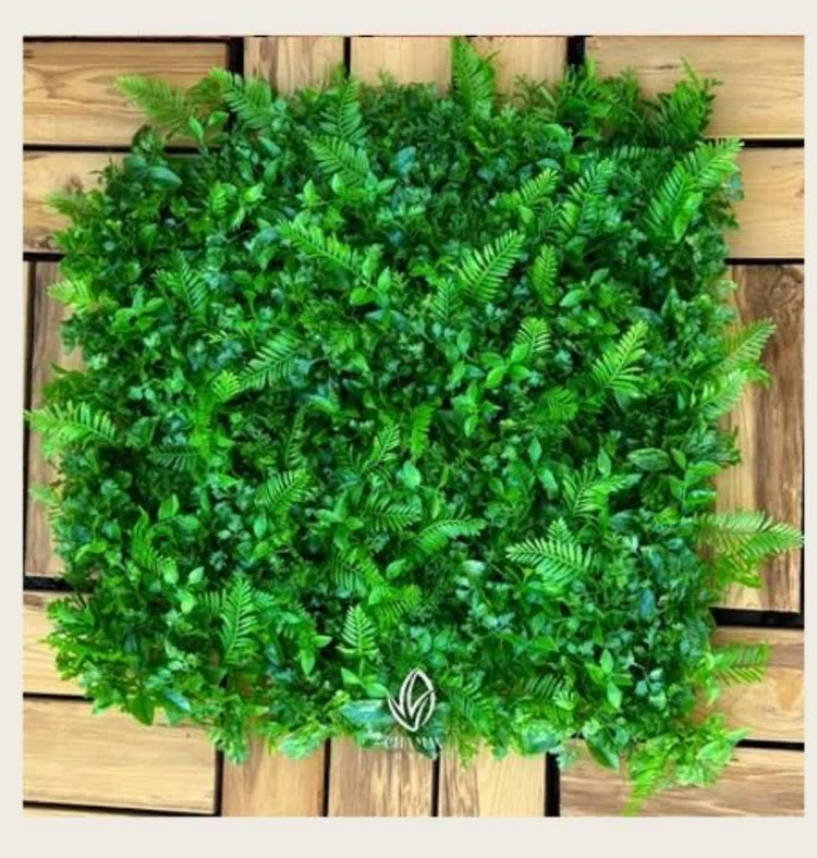 گرین وال تایلی سیکاس گشنیز 0/50 * 0/50